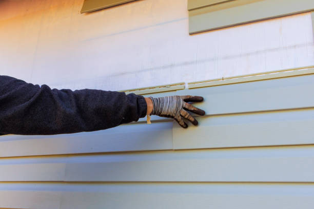 Best Engineered Wood Siding  in Jim Thorpe, PA